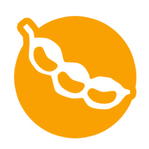 soy_icon soy_icon